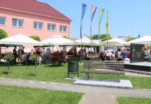 Bogat program obilježavanja Dana Općine Velika Pisanica održat će se 12. lipnja