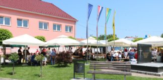 Bogat program obilježavanja Dana Općine Velika Pisanica održat će se 12. lipnja