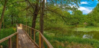 Grad Čazma najavio nastavak sanacije šetališta Medjame, šetnica i dalje zatvorena za javnost