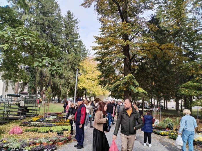 Daruvarski cvjetni sajam u Julijevom parku 1