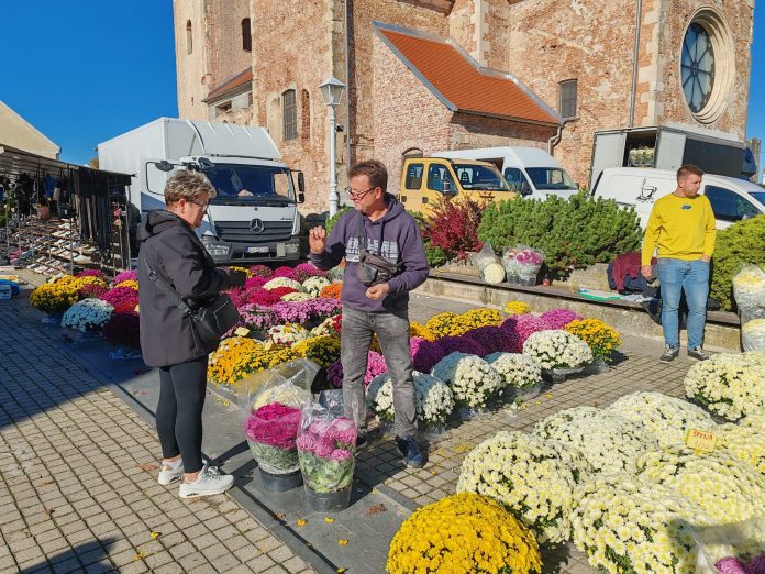 WhatsApp Slika 2025-10-28 u 11.16.44_dcd43cac