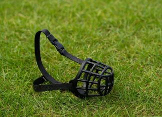 Općinsko državno odvjetništvo u Bjelovaru podiglo optužnicu zbog dva napada psa u okolici Čazme