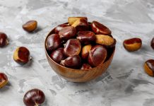 Kesten – jedini orašasti plod koji sadrži značajnu količinu vitamina C