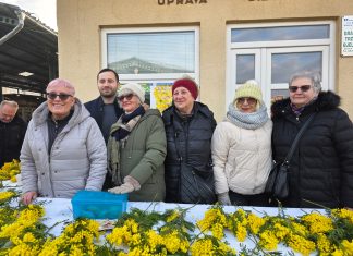 Dan mimoza: Protiv raka se borimo prevencijom