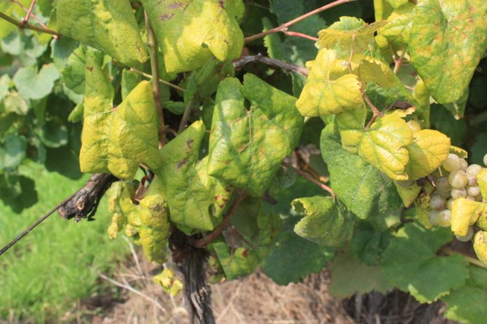 02 WhatsApp_Image_2026_02_26_at_08.41.09