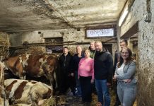 OPG Karlovčan i u 2026. prijavit će se na gradski poziv za potporu za govedarstvo