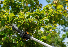 Bez kablova i komplikacija: Batavia aku alat za vrt, dom i radionicu