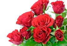 Međunarodni dan žena – podsjetnik na borbu za ravnopravnost