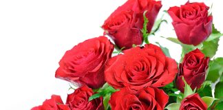 Međunarodni dan žena – podsjetnik na borbu za ravnopravnost