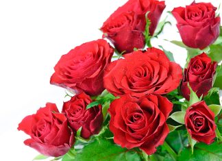 Međunarodni dan žena – podsjetnik na borbu za ravnopravnost