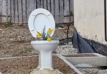 Kad WC školjka procvjeta: Čazmanac pokazao kako i otpad može dobiti drugi život