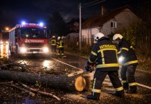Vjetar stvarao probleme širom Bjelovarsko-bilogorske županije: više intervencija tijekom noći