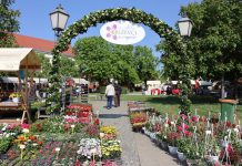 Započeo 6. sajam „Križevci u cvijeću“