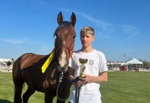 Konjički klub Čazma uspješno otvorio sezonu u slovačkom Šamorínu