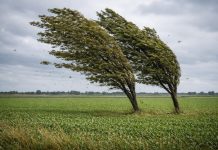 Proglašena prirodna nepogoda u Rovišću: građani imaju osam dana za prijavu štete