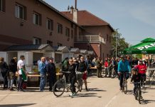 Dani općine Rovišće 2026. donose bogat program za sve generacije