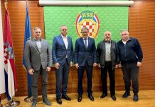 Okupljanje rasutih snaga: Sprema li se veliko ujedinjenje HSS-a?