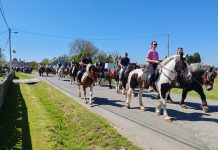 Šesti susret konjara u Novoj Rači među najposjećenijima dosad