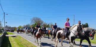 Šesti susret konjara u Novoj Rači među najposjećenijima dosad