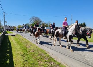Šesti susret konjara u Novoj Rači među najposjećenijima dosad