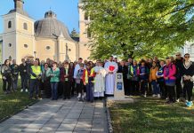 Daruvarska dionica Camina bjelovarsko-bilogorskog