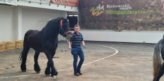 Velika fijakerijada 31. svibnja donosi dan za pamćenje