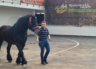 Velika fijakerijada 31. svibnja donosi dan za pamćenje