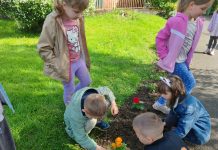Uoči Dana planeta Zemlje: najmlađi Čazmanci zasadili cvijeće oko knjižnice