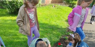 Uoči Dana planeta Zemlje: najmlađi Čazmanci zasadili cvijeće oko knjižnice