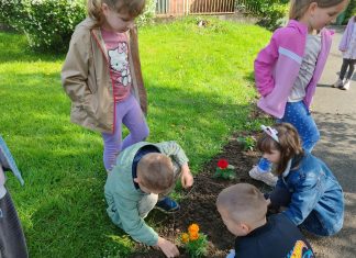 Uoči Dana planeta Zemlje: najmlađi Čazmanci zasadili cvijeće oko knjižnice