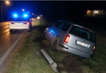 Pijan i bez vozačke u Gornjim Lipovčanima sletio s ceste i završio u pritvoru