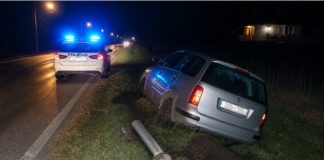 Pijan i bez vozačke u Gornjim Lipovčanima sletio s ceste i završio u pritvoru