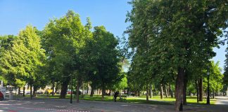 Iscrtane nove, crvene linije za nultu zonu parkiranja u samom srcu Bjelovara