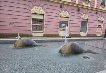 Voda u bjelovarskoj fontani ponovno je bistra i čista