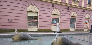 Voda u bjelovarskoj fontani ponovno je bistra i čista