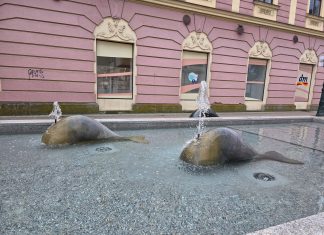 Voda u bjelovarskoj fontani ponovno je bistra i čista