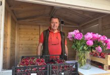 Krenula prodaja trešanja OPG-a Ledinski na bjelovarskom korzu