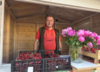 OPG Ledinski poziva zainteresirane na samoberbu trešanja