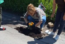Posadili cvijeće u rupe na cesti i problem je riješen: Treba li isti recept isprobati i u Bjelovarsko-bilogorskoj županiji?