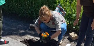 Posadili cvijeće u rupe na cesti i problem je riješen: Treba li isti recept isprobati i u Bjelovarsko-bilogorskoj županiji?