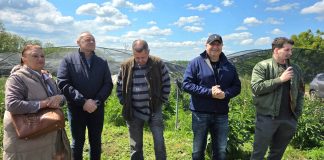 OPG Ledinski organizirao Dane božura