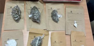 U Bjelovaru pronađene veće količine droge, policija pretražila dom 21-godišnjaka
