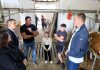 Županija otvorila poziv za poljoprivrednike: Na raspolaganju 240.500 eura potpora