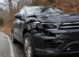 Tko će plaćati štetu nakon naleta na srnu ili divlju svinju? Stižu nova pravila