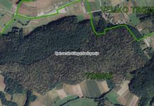 Važna obavijest za mještane Općine Veliko Trojstvo: Od 29. lipnja zabrana ulaska u šumu Tomaška
