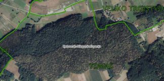 Važna obavijest za mještane Općine Veliko Trojstvo: Od 29. lipnja zabrana ulaska u šumu Tomaška