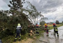 FOTO: Nevrijeme izazvalo probleme u općini Rovišće, vatrogasci uklanjali srušena stabla i sanirali štetu