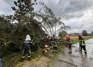 FOTO: Nevrijeme izazvalo probleme u općini Rovišće, vatrogasci uklanjali srušena stabla i sanirali štetu