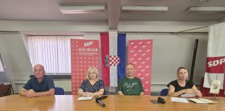 SDP ponovno otvorio pitanje brige Grada o napuštenim životinjama