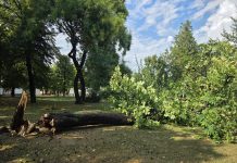 Kratkotrajno, ali snažno nevrijeme pogodilo Bjelovar